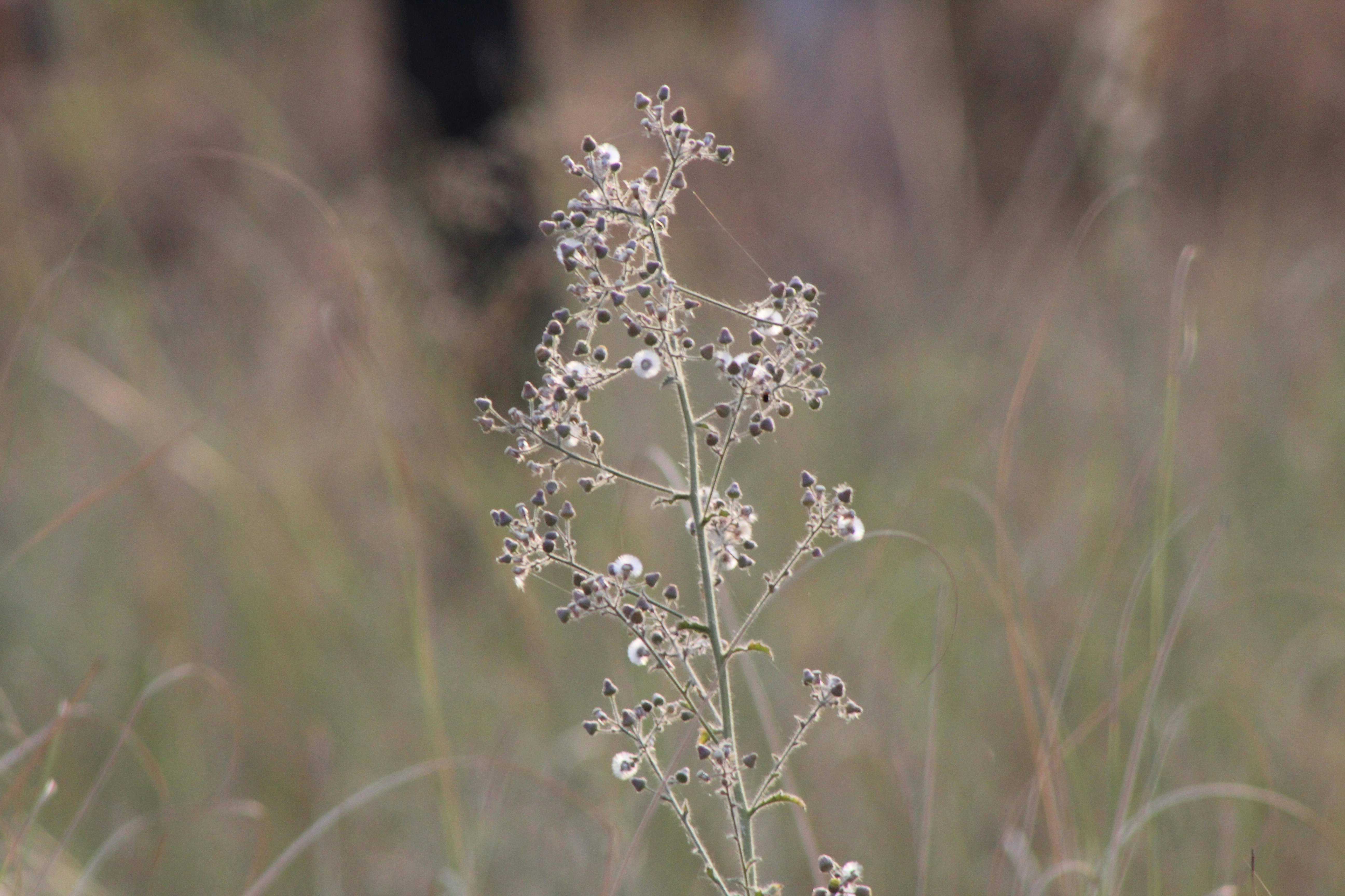 Photo by technorajat24