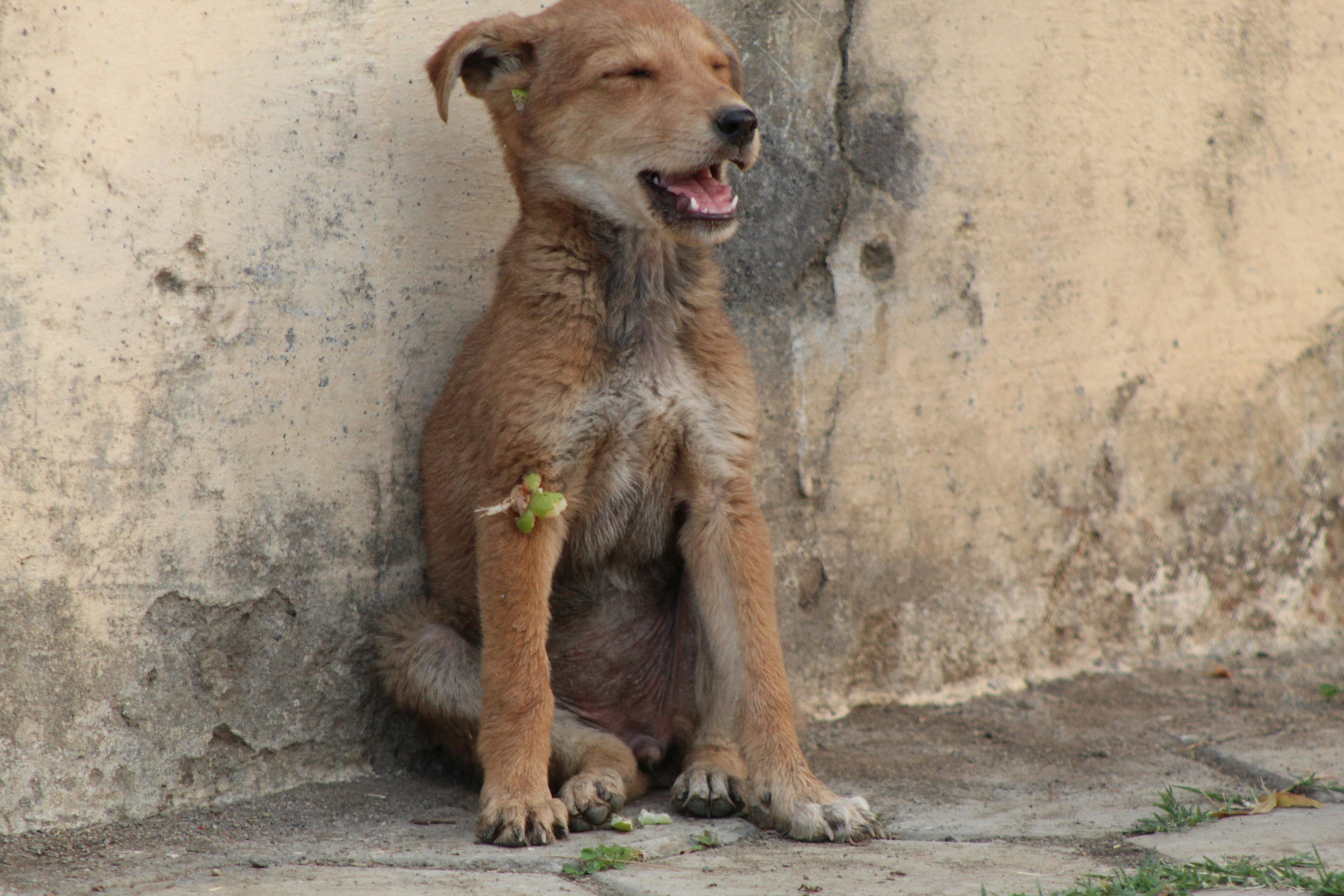 Photo by technorajat24