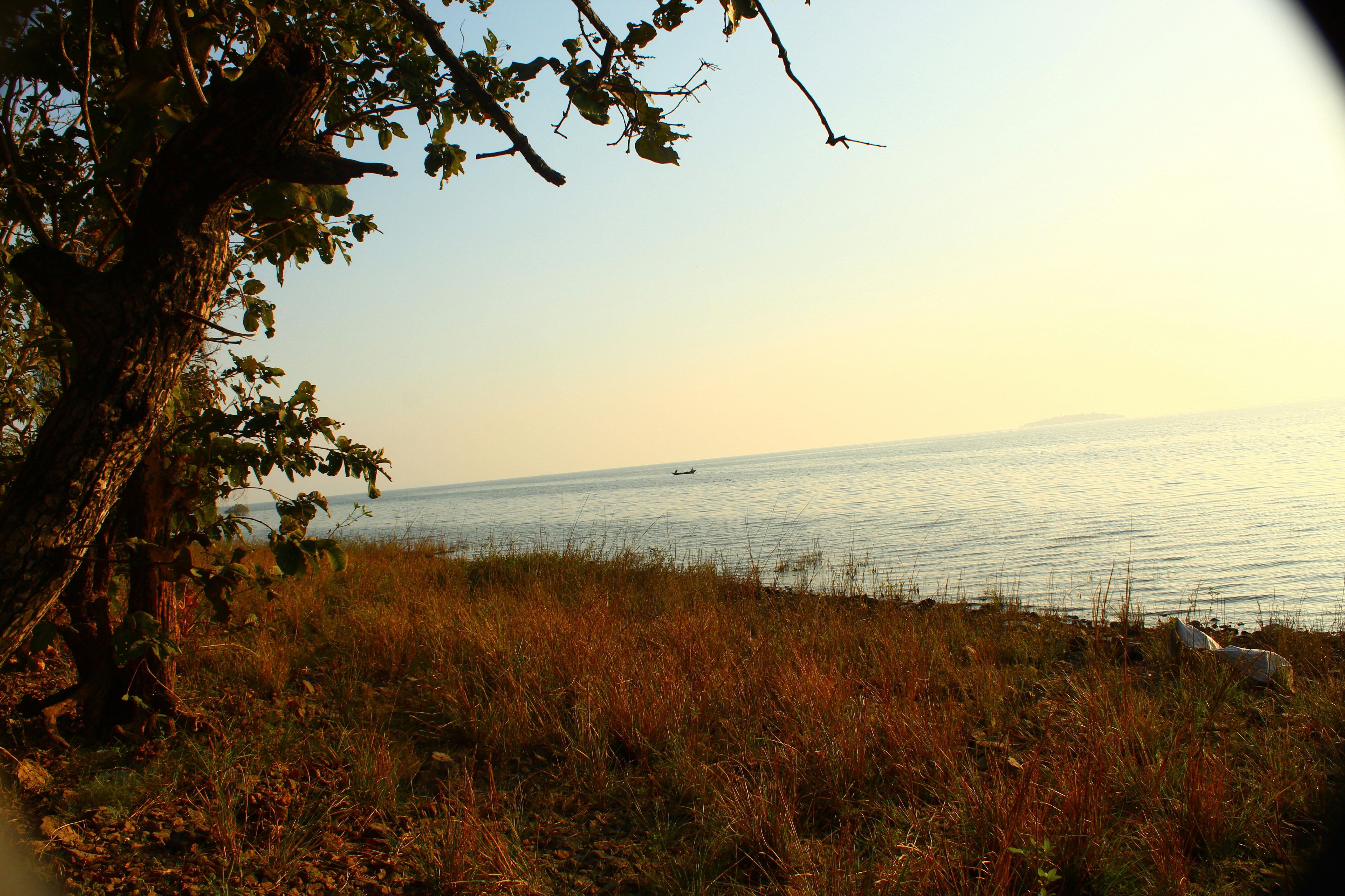 Photo by technorajat24