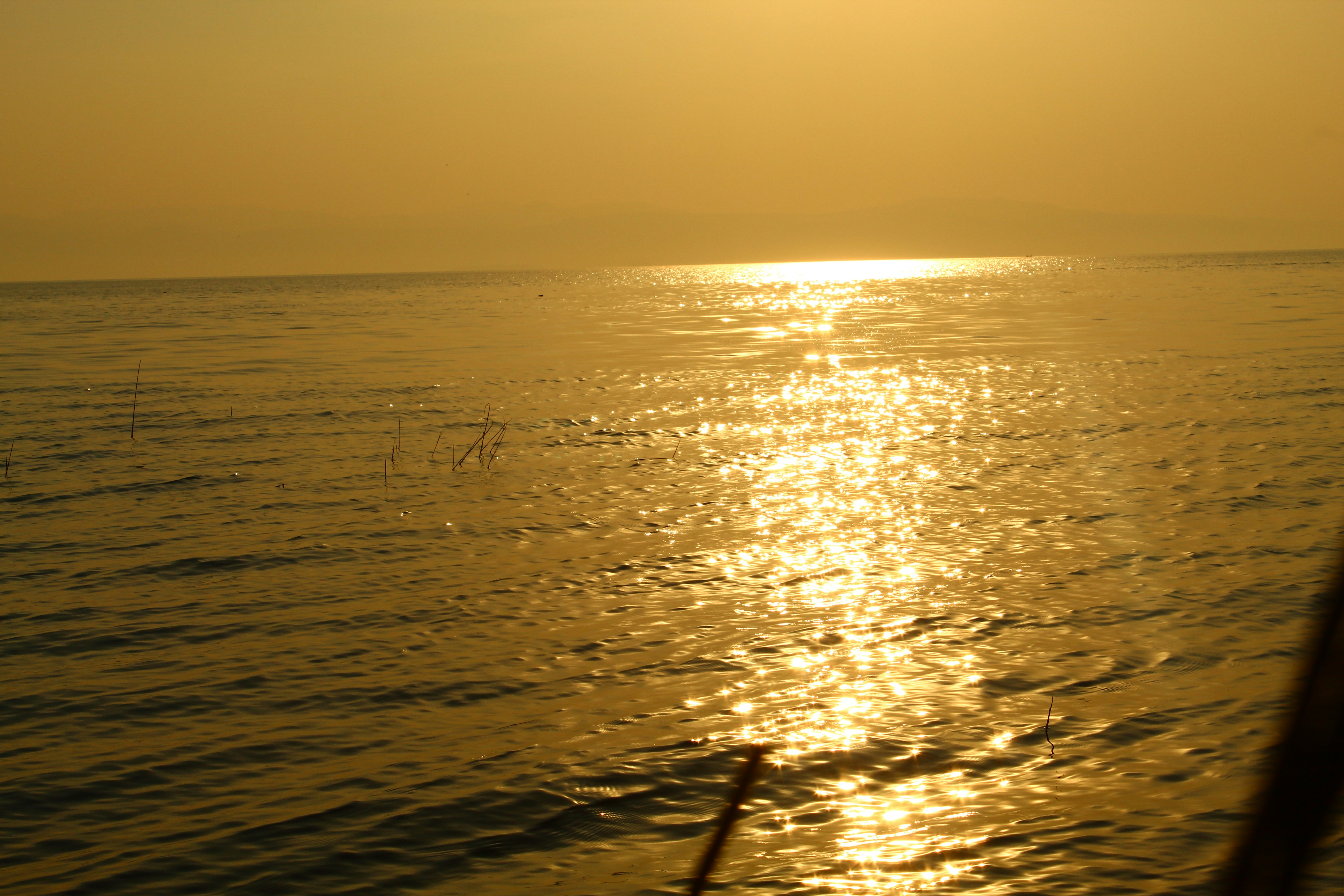 Photo by technorajat24