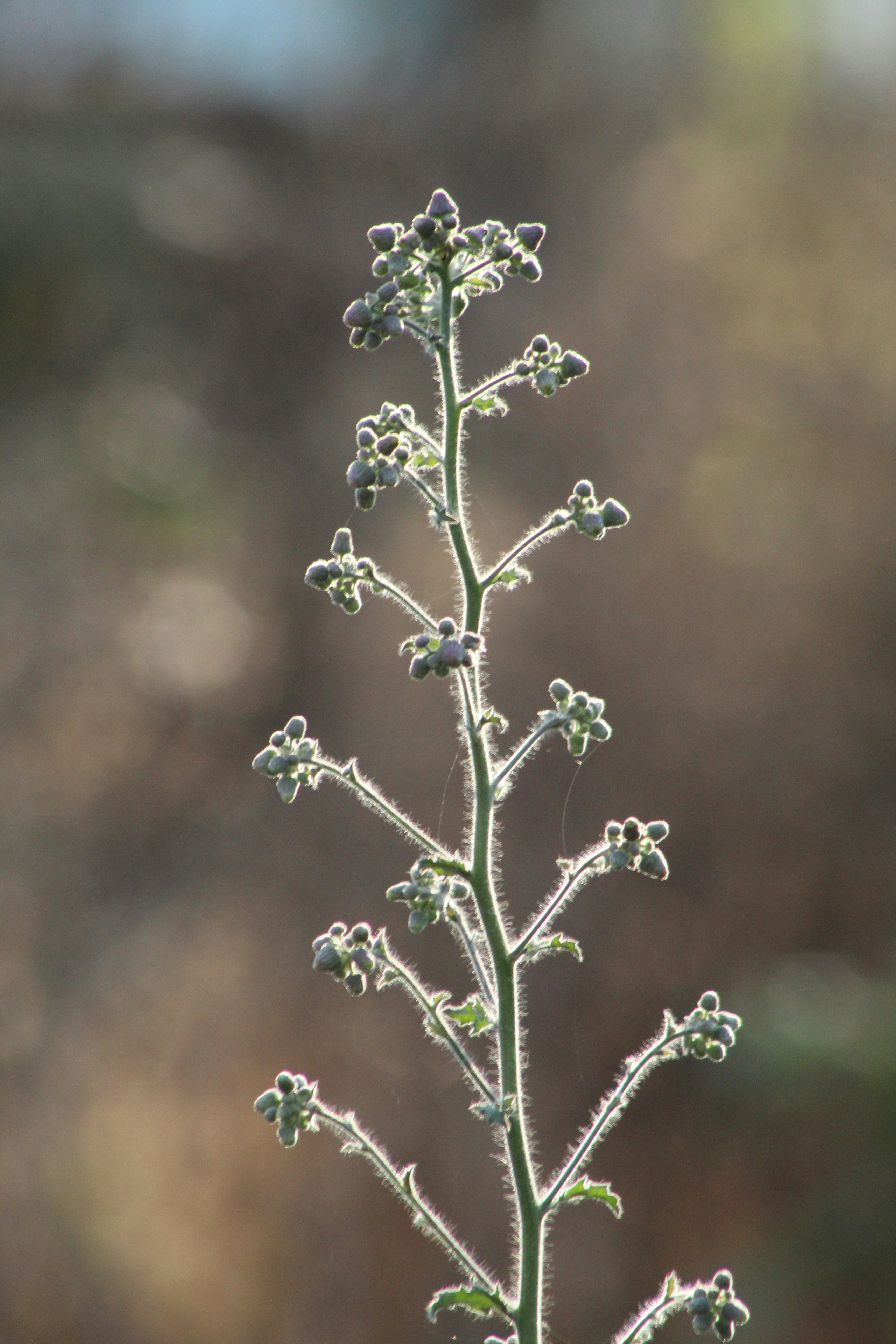 Photo by technorajat24