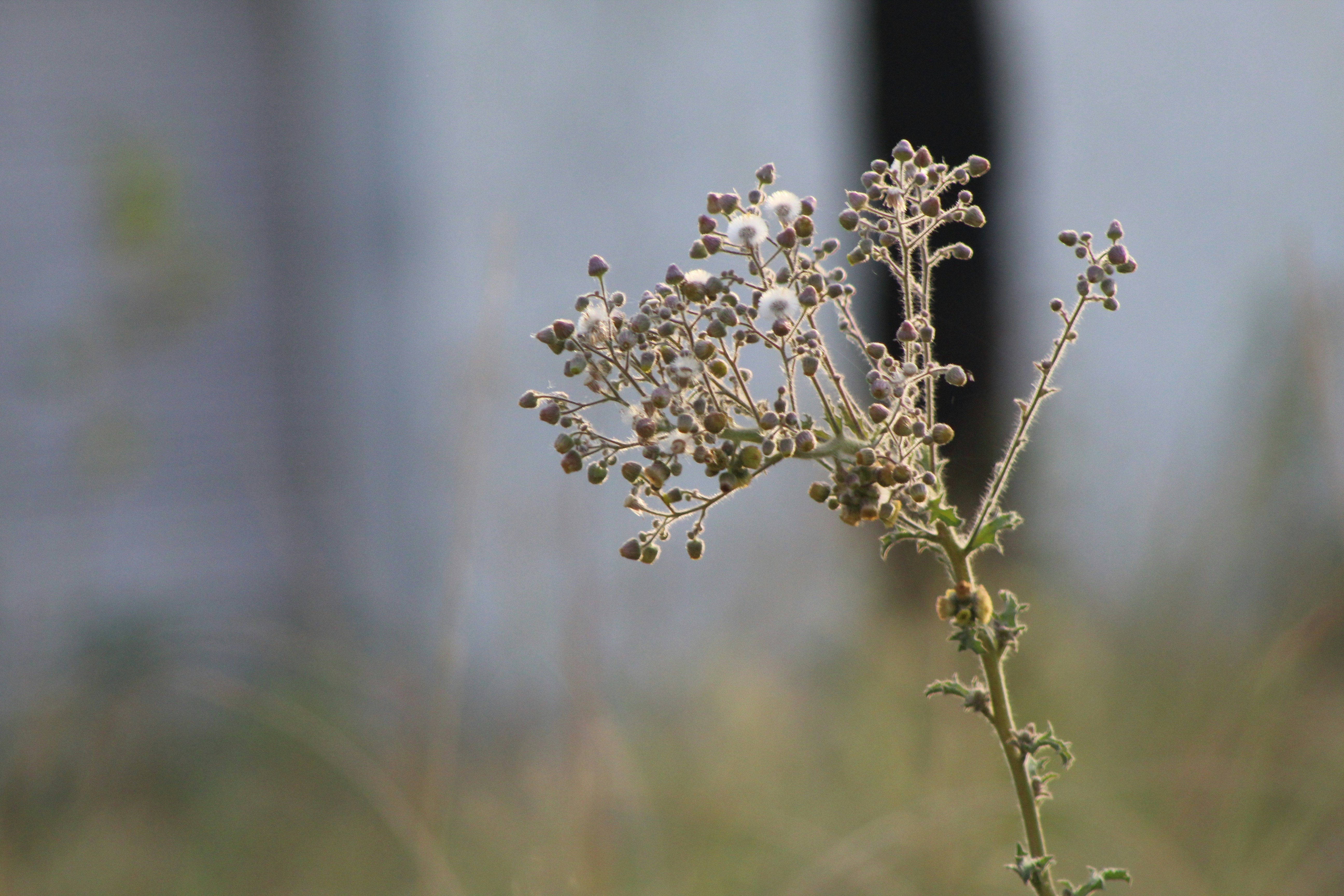 Photo by technorajat24