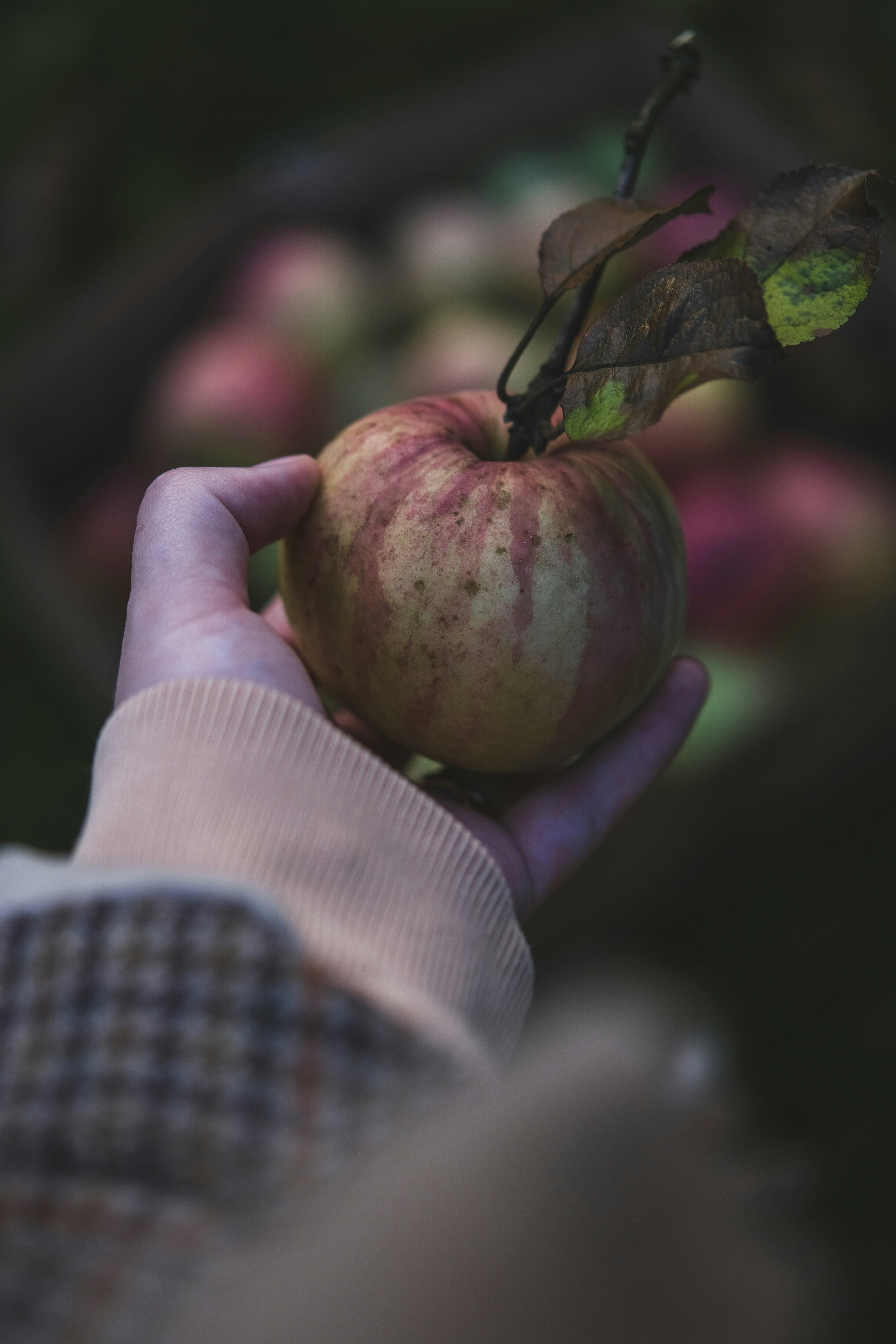 Photo by rolig_basseng