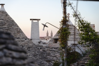 A close-up view of stone cone-shaped rooftops, characteristic of traditional trulli homes, with a background featuring a church steeple. The image has a soft, pastel-colored sky at dusk. Vines and a streetlight are also visible, adding texture and depth to the architectural scene.