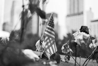 A faded American flag draped over a cracked government building symbolizing national challenges.