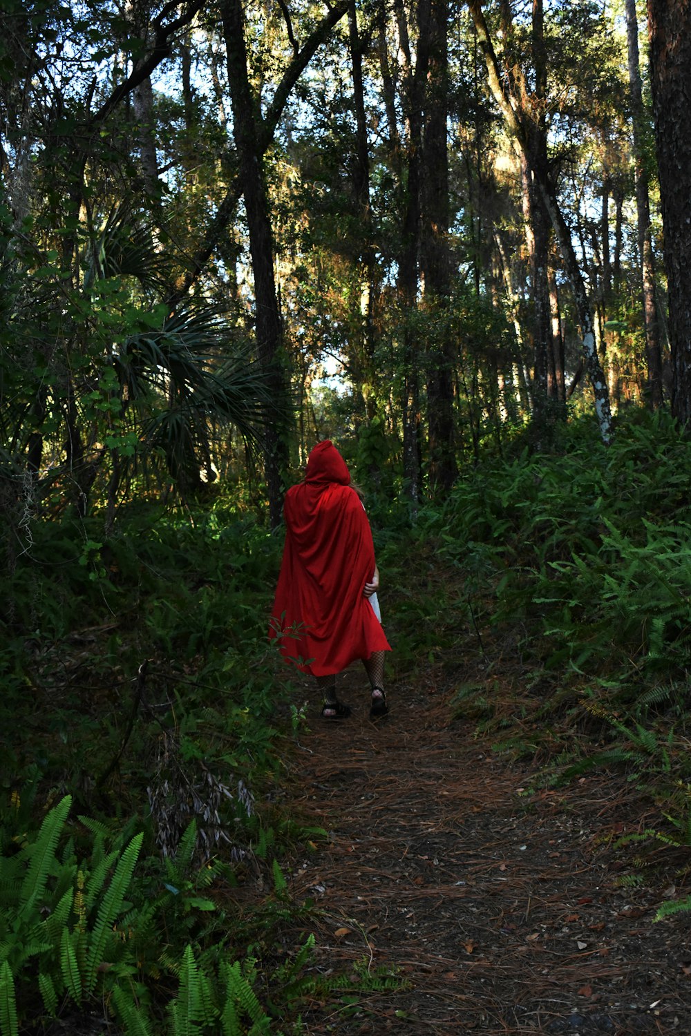 a person in a red cloak walking through a forest