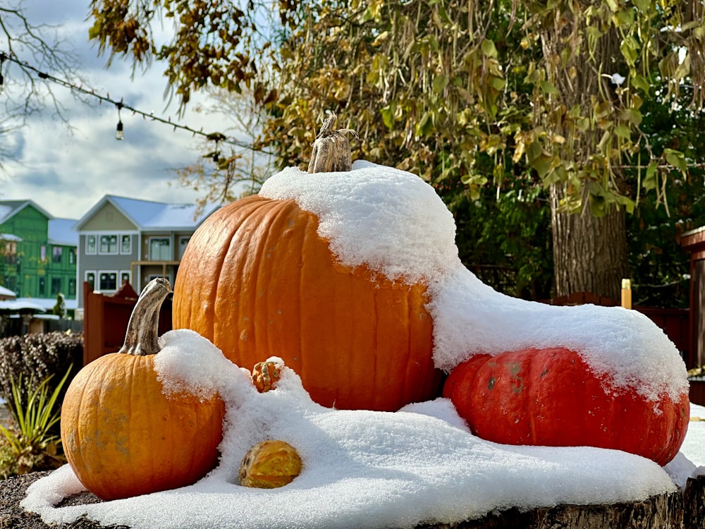 a pile of pumpkins sitting on top of a pile of snow