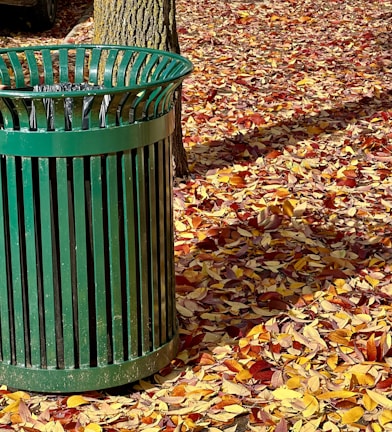 a green trash can sitting next to a tree