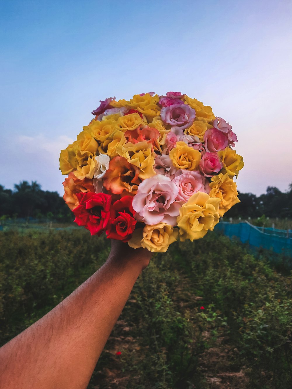 uma pessoa segurando um buquê de flores na mão