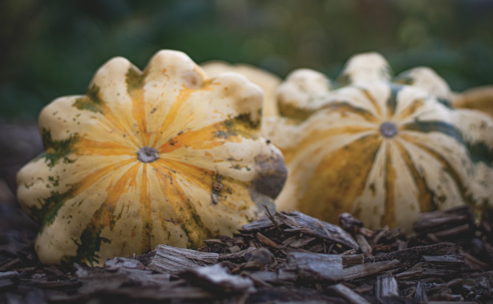 a group of pumpkins sitting on top of a pile of mulch