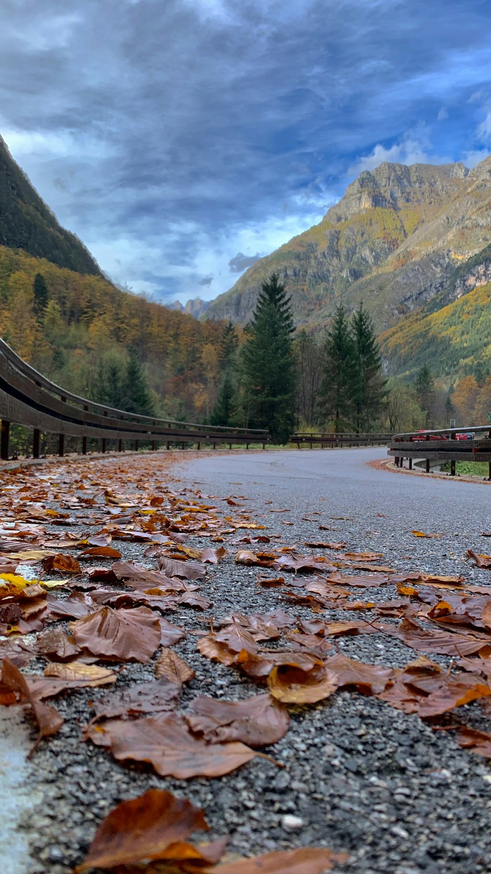 a paved road with leaves on the ground and mountains in the background