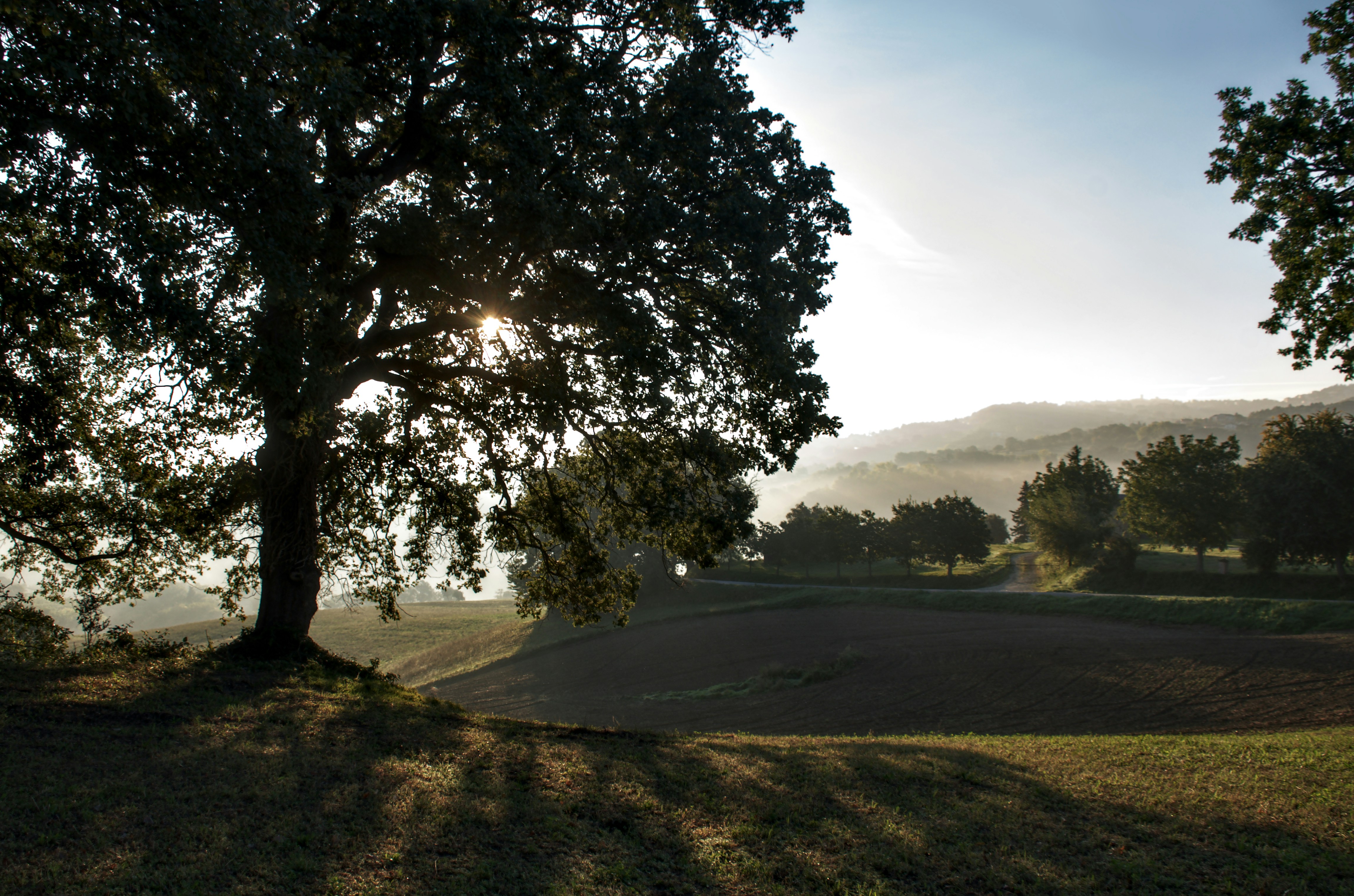 Photo by mariobeducci