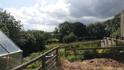 A lush garden landscape with a variety of plants and shrubs, surrounded by a wooden fence. In the foreground, there are patches of grass and soil, while a greenhouse with a transparent roof can be seen to the left. The scene is framed by trees and foliage, with a cloudy sky overhead, filtering soft light onto the garden.