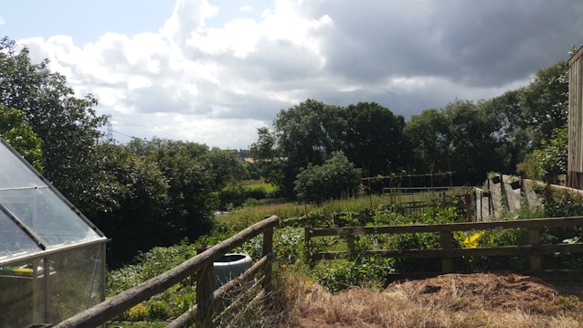 A lush garden landscape with a variety of plants and shrubs, surrounded by a wooden fence. In the foreground, there are patches of grass and soil, while a greenhouse with a transparent roof can be seen to the left. The scene is framed by trees and foliage, with a cloudy sky overhead, filtering soft light onto the garden.