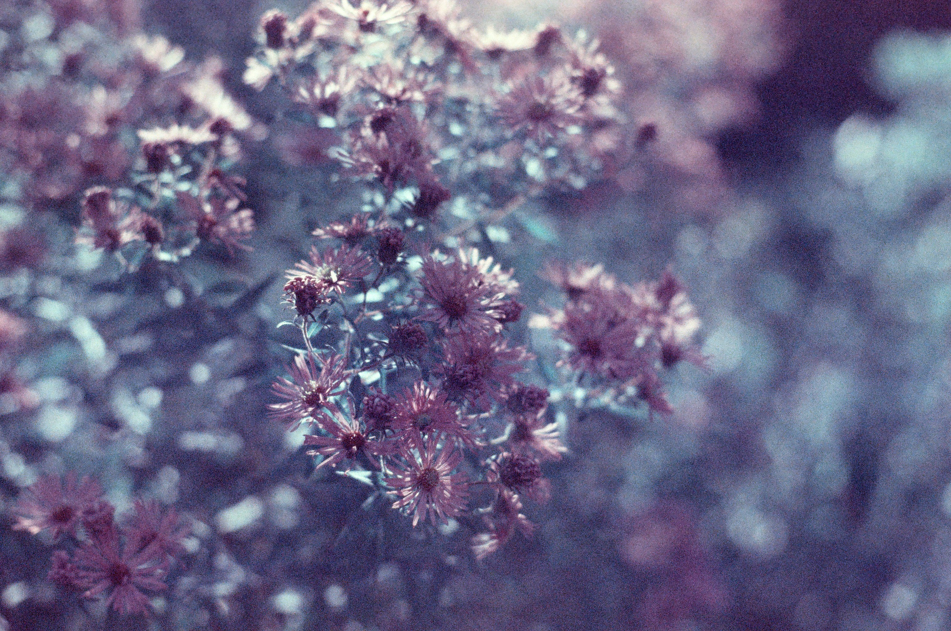 Photo by andreas_qie