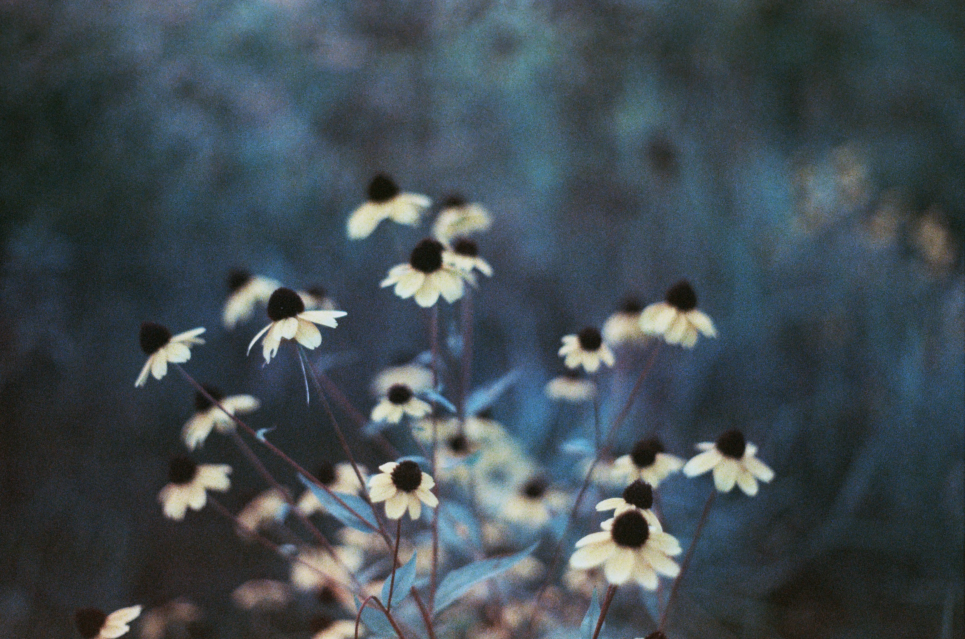 Photo by andreas_qie