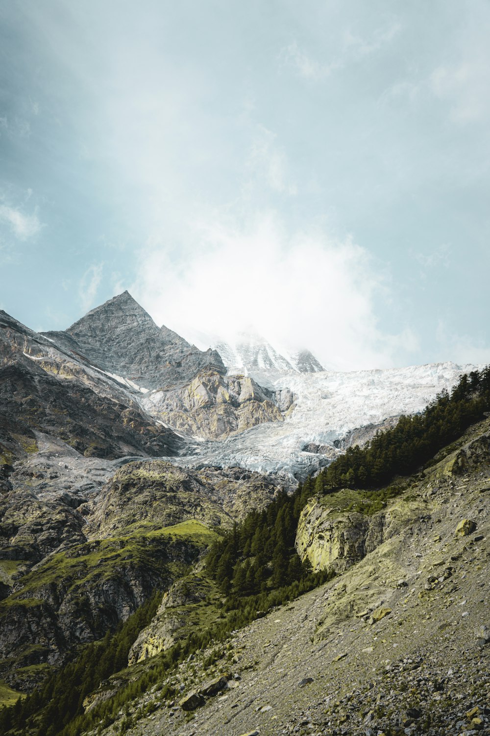 a mountain covered in snow and trees under a cloudy sky