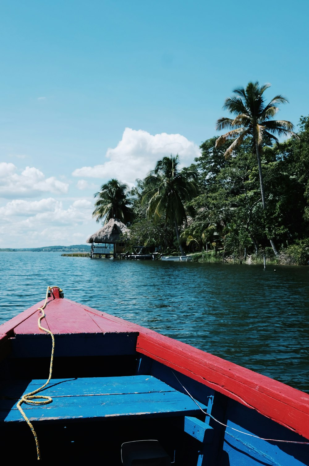 a boat traveling down a river next to a forest