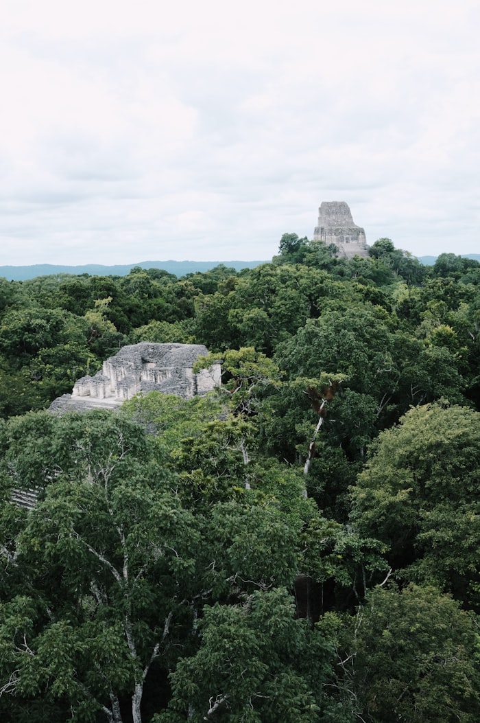 Maya temple stone carvings