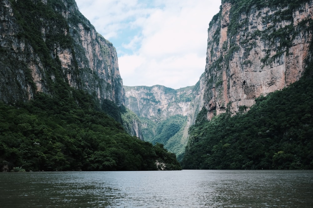 a body of water surrounded by mountains and trees