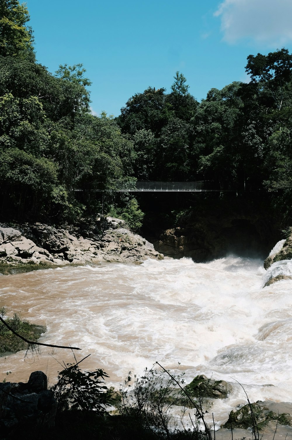 a river with a bridge in the background