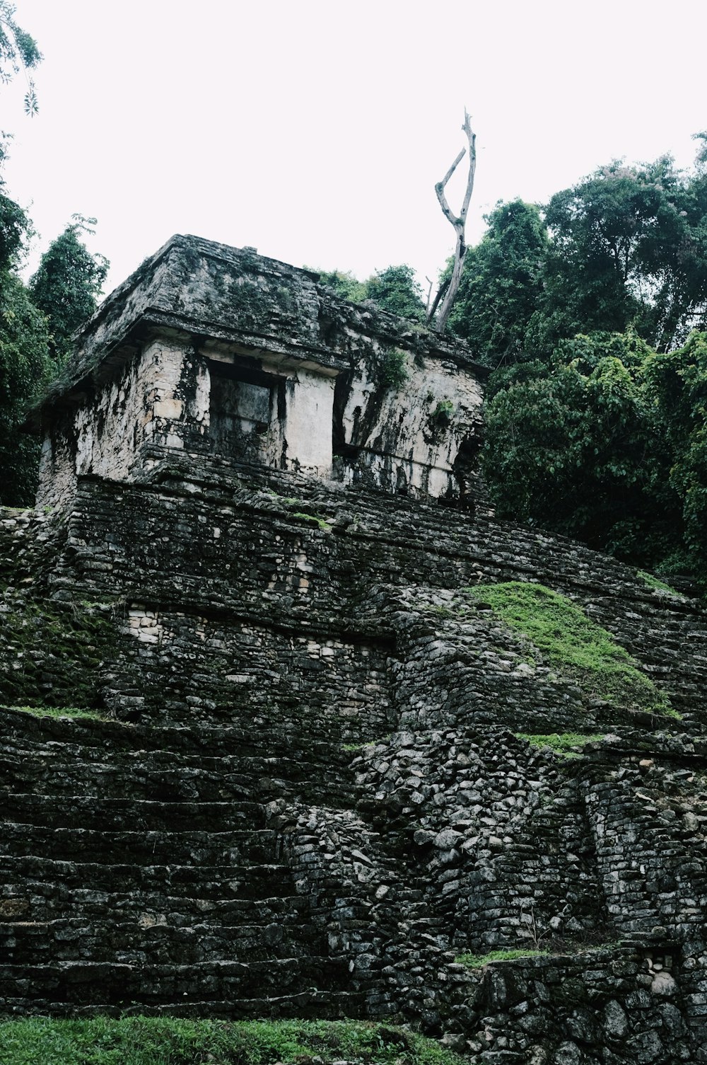 a stone structure in the middle of a forest