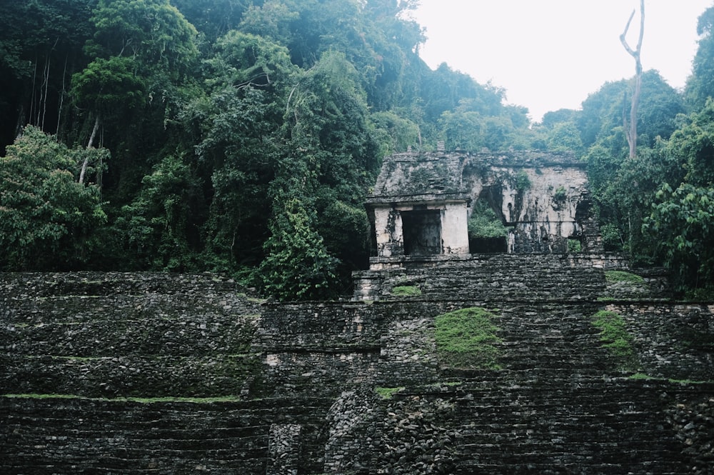 a stone structure in the middle of a forest