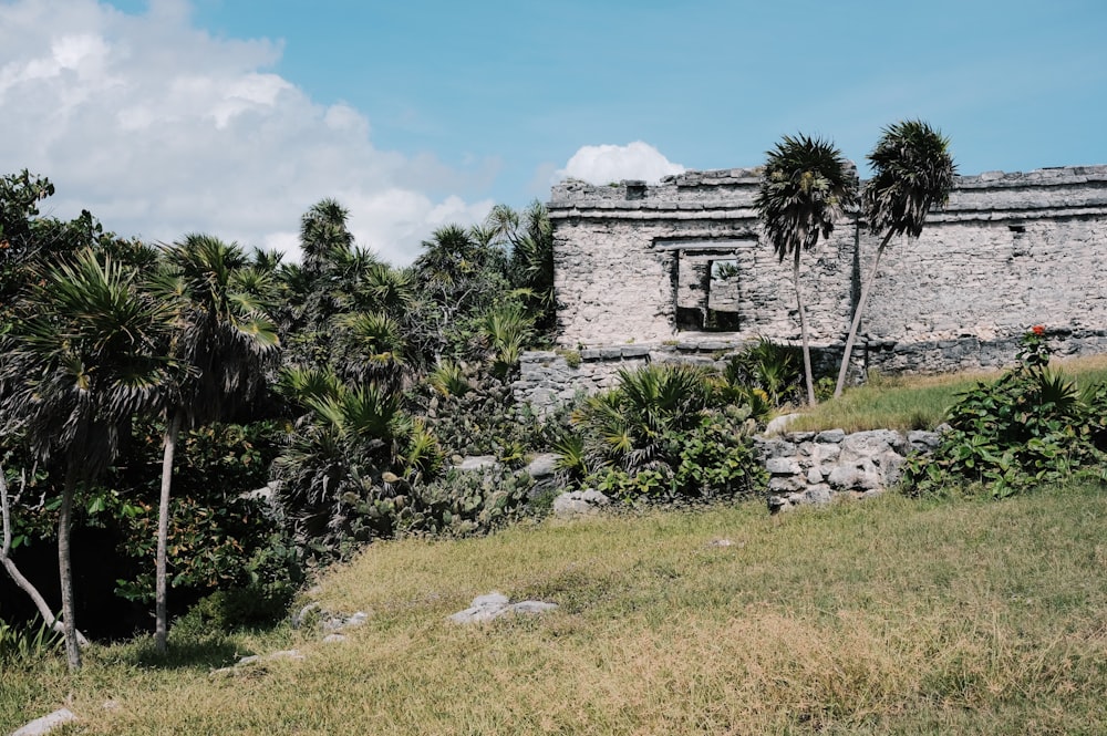 a stone building surrounded by palm trees on a hill