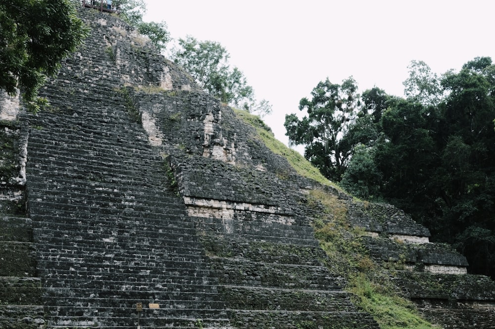 una gran pirámide en medio de un bosque