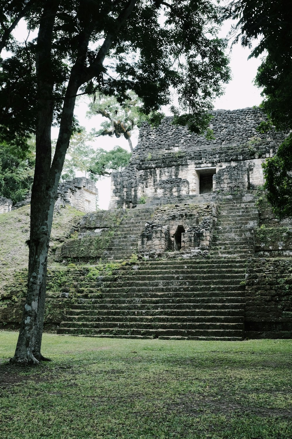 a large stone structure sitting next to a tree