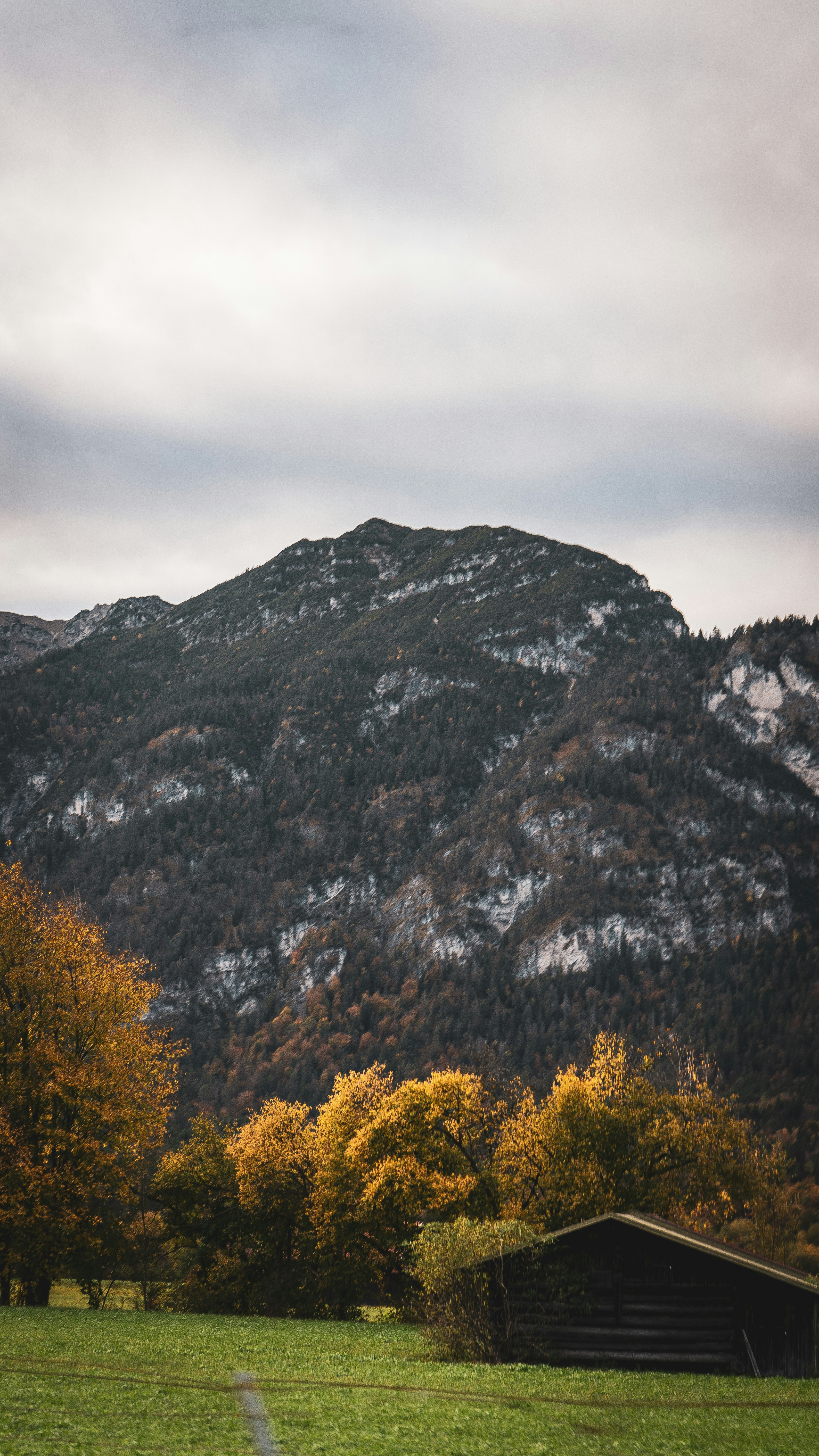 Photo by danielzermand