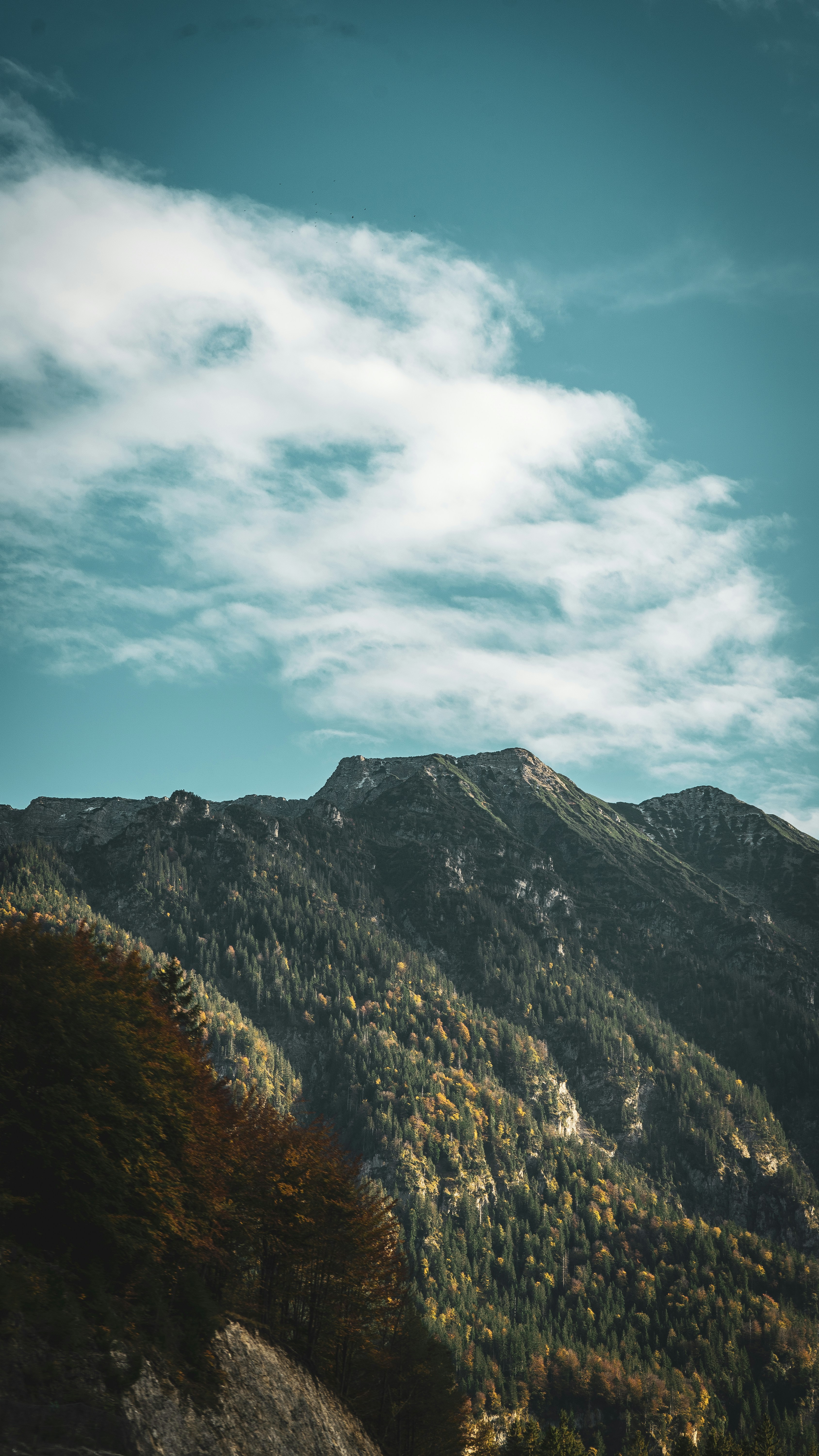 Photo by danielsiebert