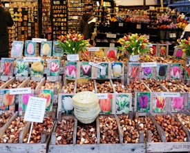 A bustling flower market stall displays an array of tulip bulbs with colorful photographs of blooming tulips. Baskets of bulbs are labeled with prices, inviting customers to mix and match. Fresh tulip bouquets add vibrant color to the scene. People browse the rustic wooden shelves lined with various flower-themed souvenirs in the background.