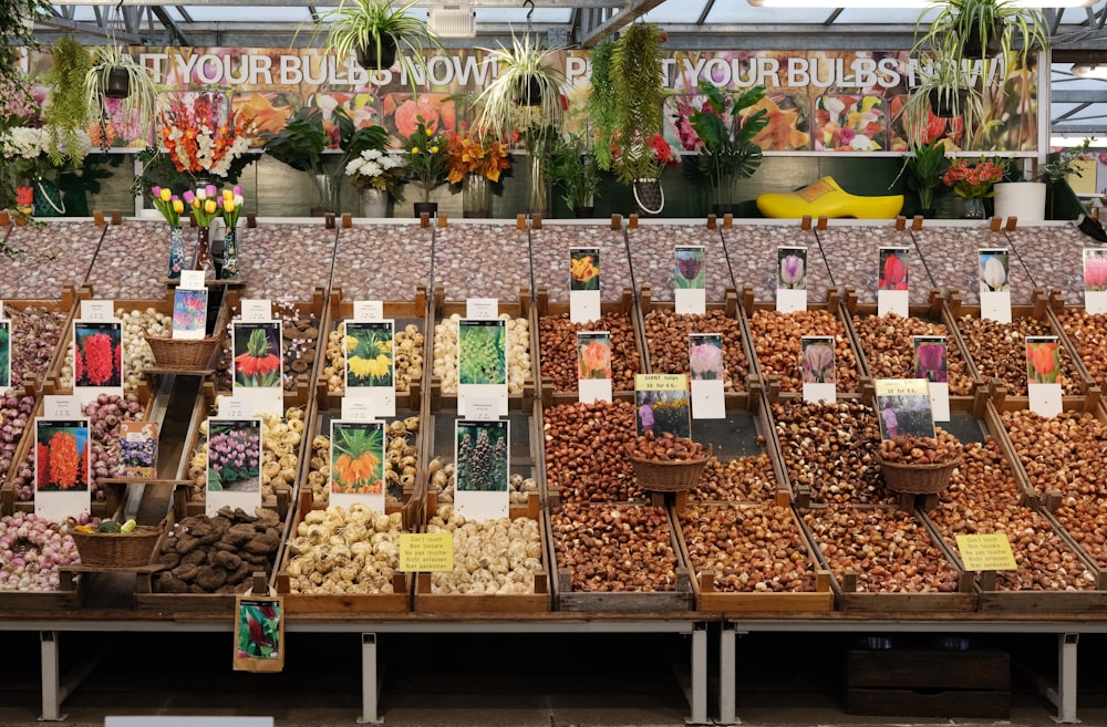 a bunch of different types of flowers on display