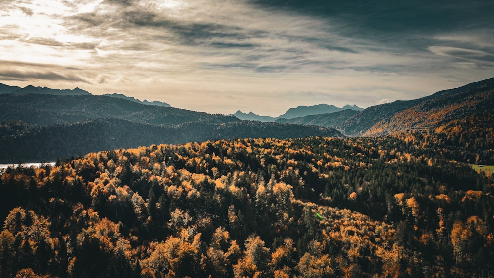 an aerial view of a forest with mountains in the background