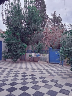 a black and white checkered floor and trees