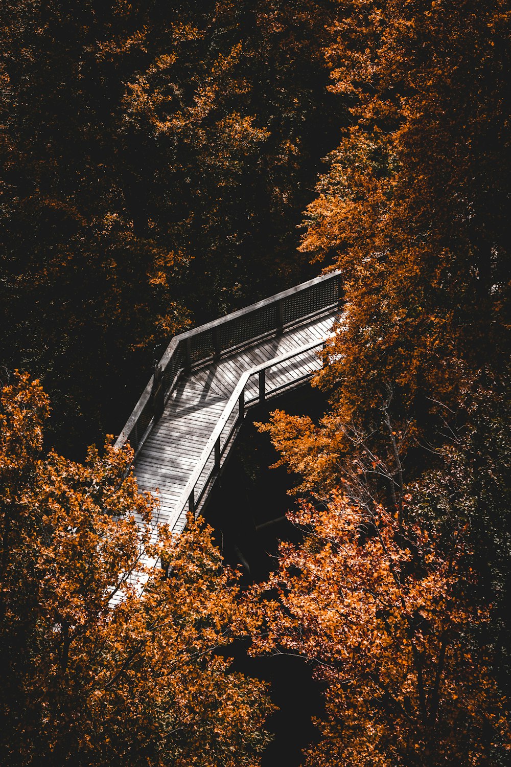 a wooden bridge surrounded by lots of trees