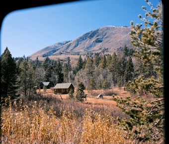 A rustic wooden cabin sits amidst a forested area with a mountainous backdrop. The trees are a mix of evergreen and deciduous with autumn foliage. The sky is clear, and the landscape is dominated by earthy tones interspersed with patches of green.