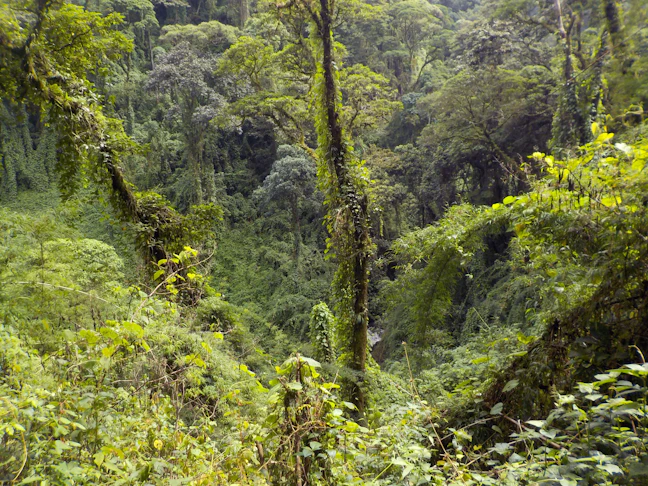 13-Day Family Friendly Costa Rica Travel Itinerary
