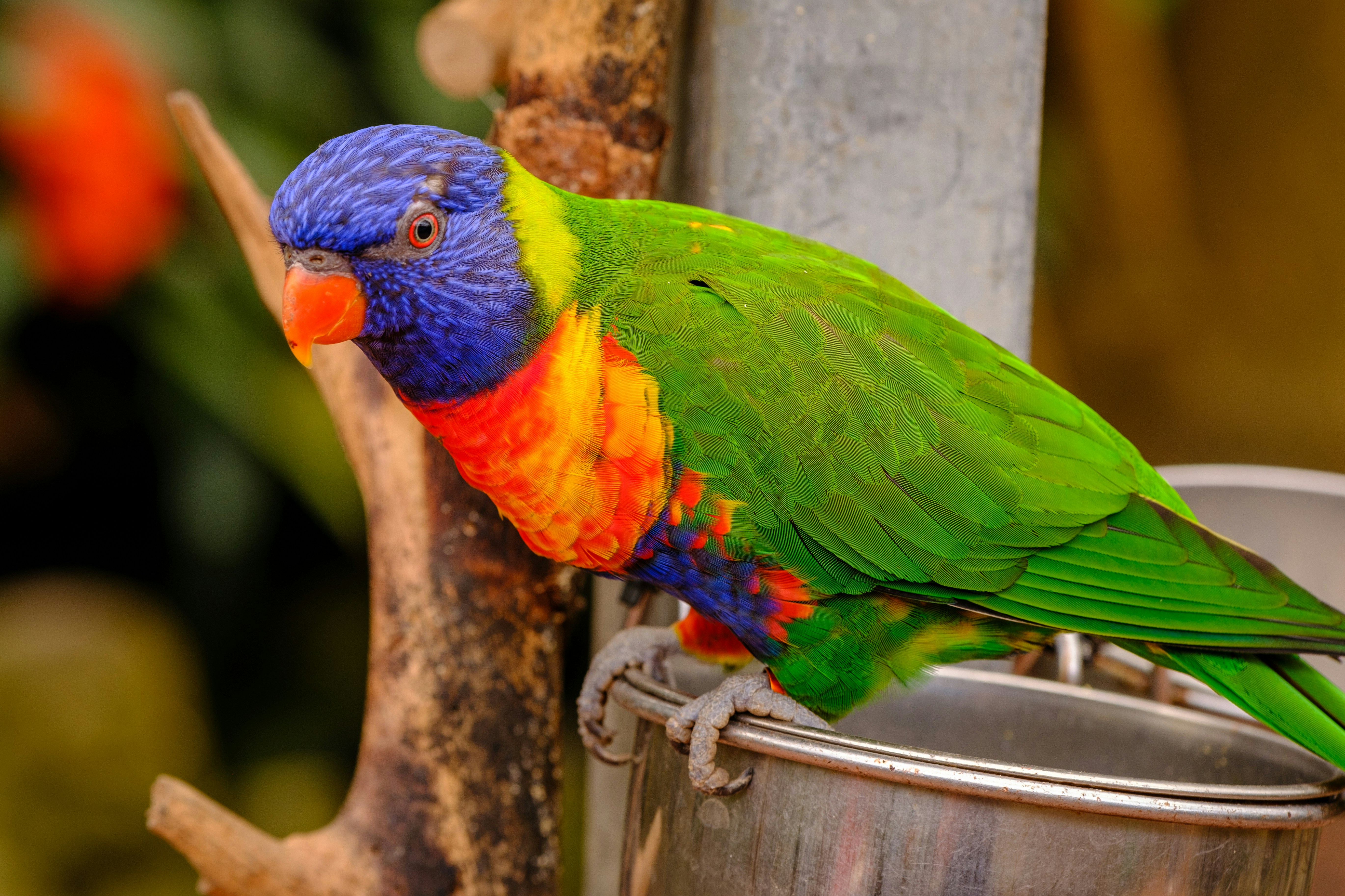 Photo by haberdoedas2