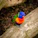 A cheerful parrot wearing a colorful handmade e-collar sitting on a wooden perch.