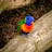A cheerful parrot wearing a colorful handmade e-collar sitting on a wooden perch.