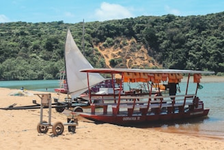 A small, colorful boat is docked along a sandy riverbank. The vessel has a canopy and several life jackets hung from the roof. The background features a dense, green forest on a hill, with a clear blue sky above.
