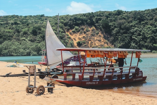 A small, colorful boat is docked along a sandy riverbank. The vessel has a canopy and several life jackets hung from the roof. The background features a dense, green forest on a hill, with a clear blue sky above.