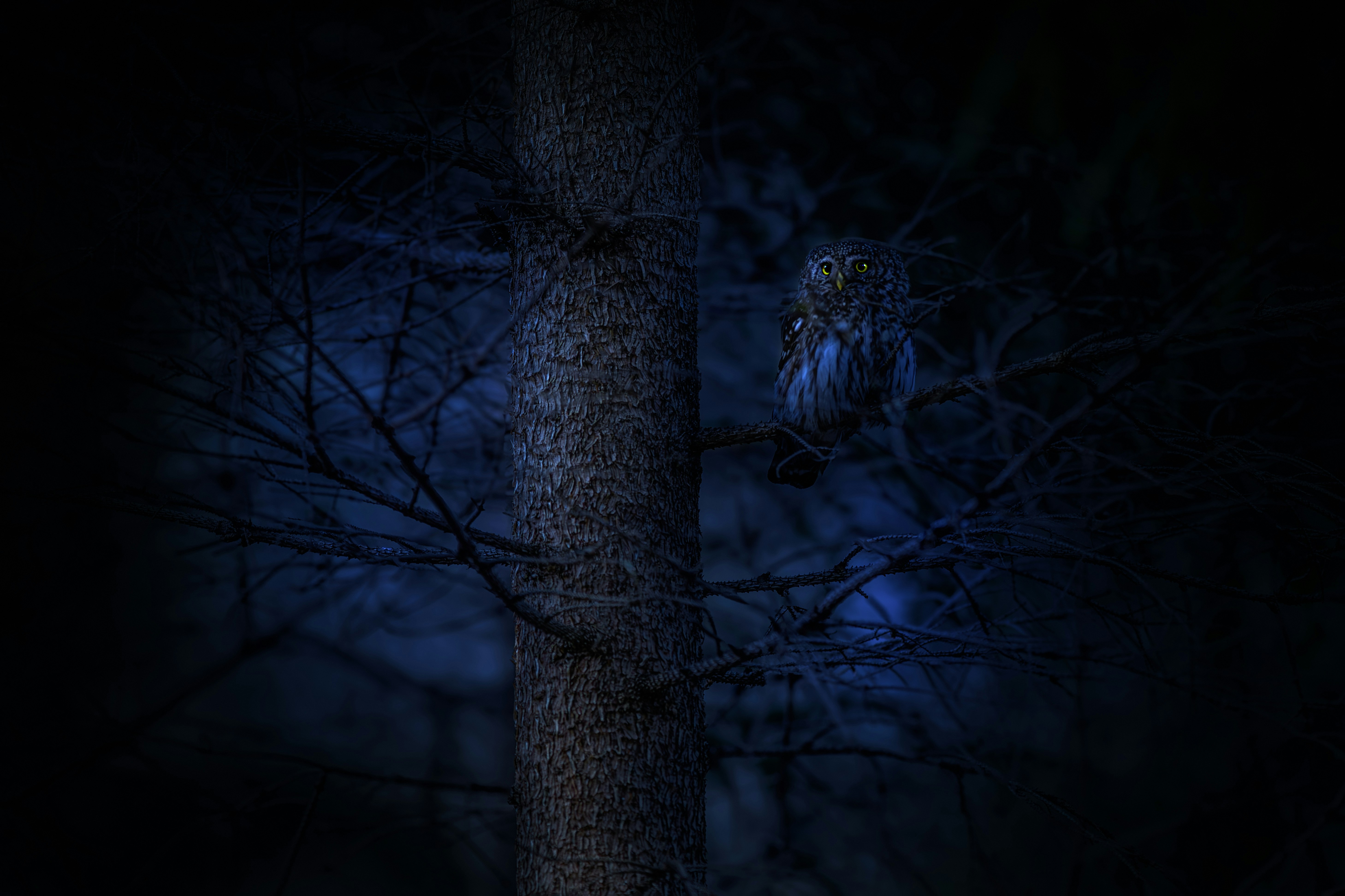 Photo by erik_karits