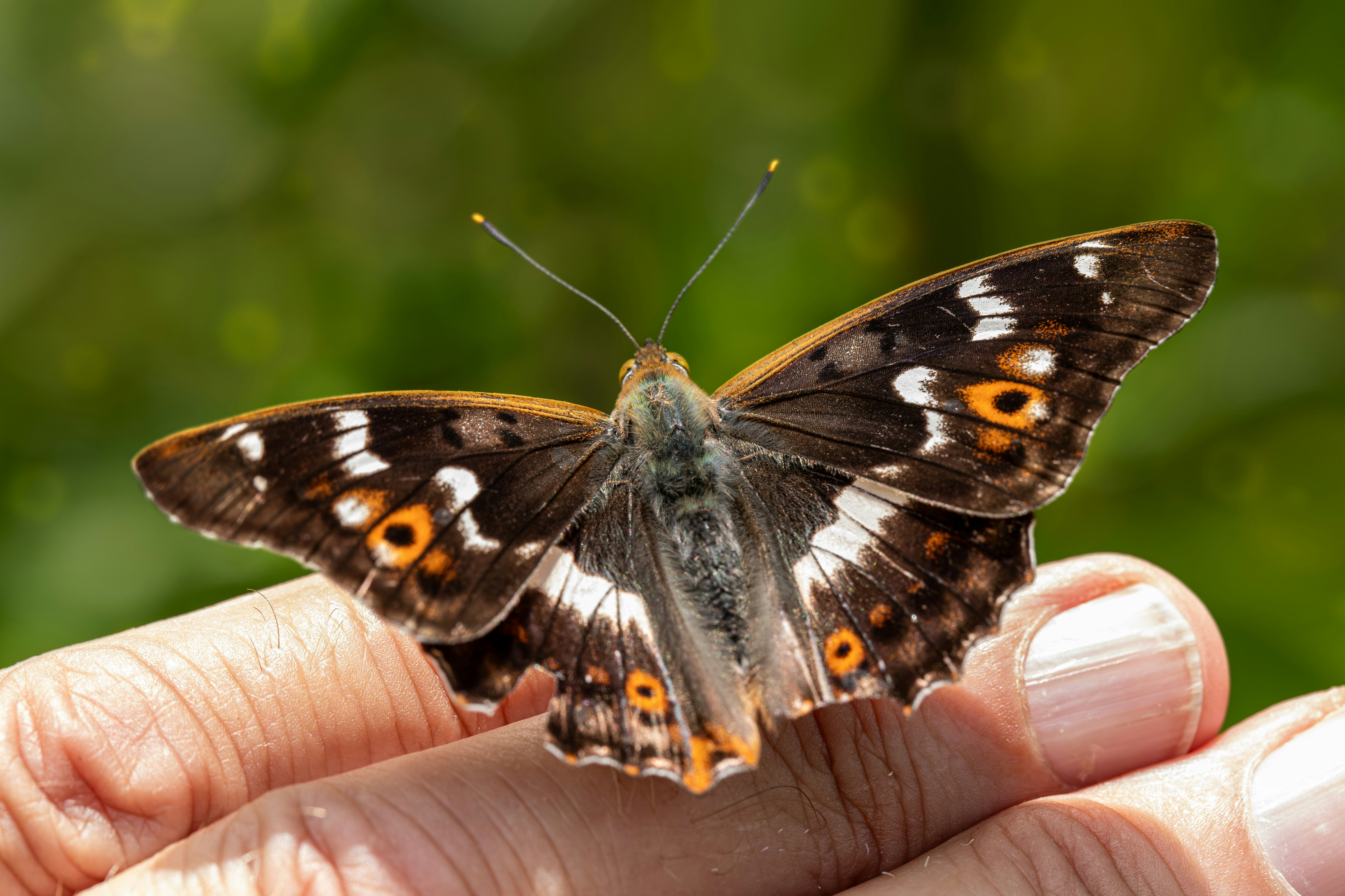 Photo by erik_karits