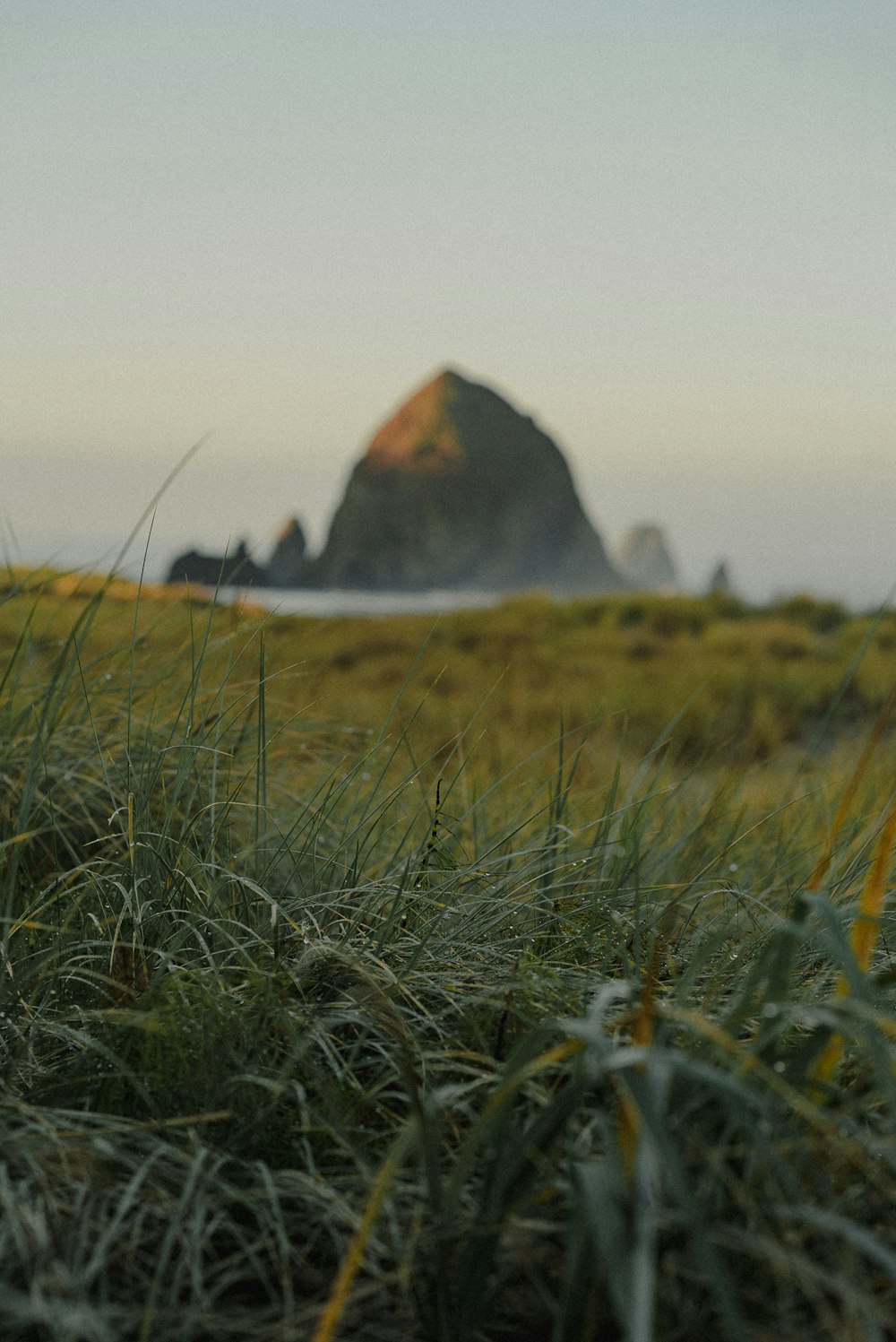 a grassy field with a rock in the background