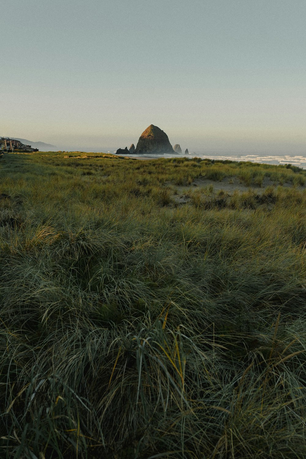 a grassy field with a mountain in the background