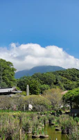 A serene landscape featuring lush greenery in Ponorogo.