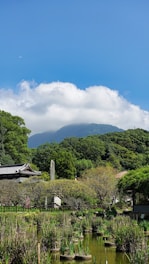 A serene landscape showcasing lush greenery and sustainable architecture in harmony with nature.